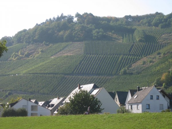 Mosel 003.JPG