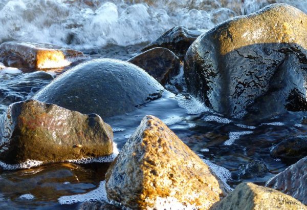 Copy of stenohav_1 kopia.jpg