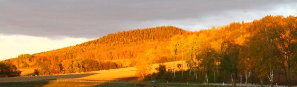 ooo 001.JPG ooo 001.JPG