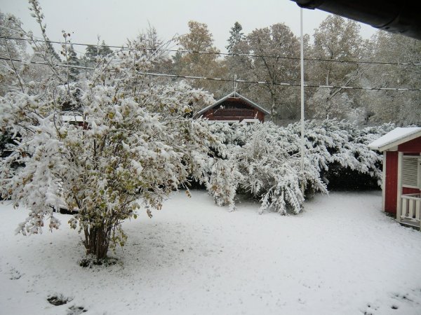 snö i november 002.JPG