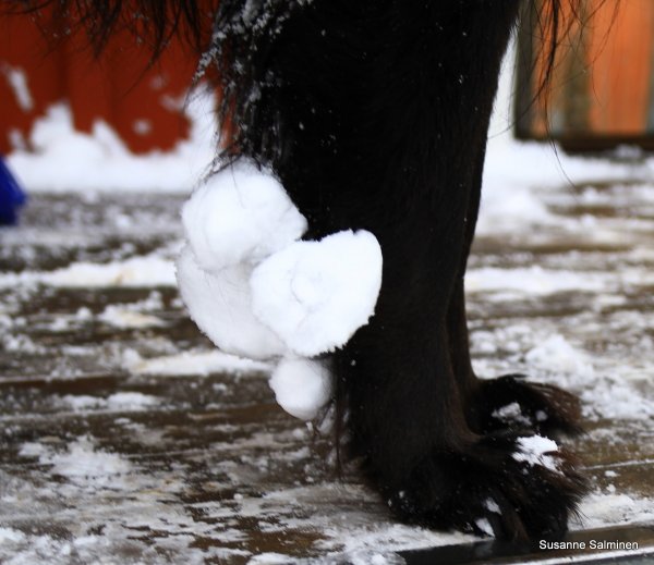 snön 034.JPG snön 034.JPG