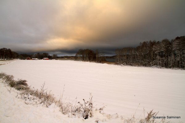 snön 005.JPG snön 005.JPG