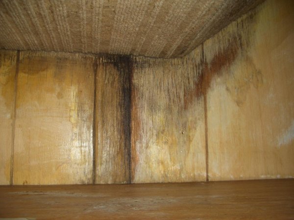 15 okt 2007 OBS vattnet på väggen.jpg