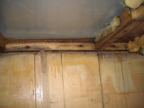 20 okt 2007 mörkt.jpg