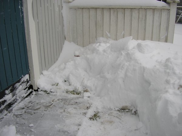 PB240442.JPG PB240442.JPG