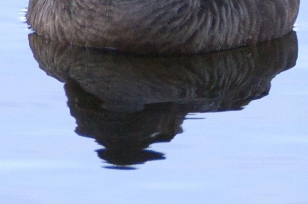 Gåta 2, art, 3p.jpg