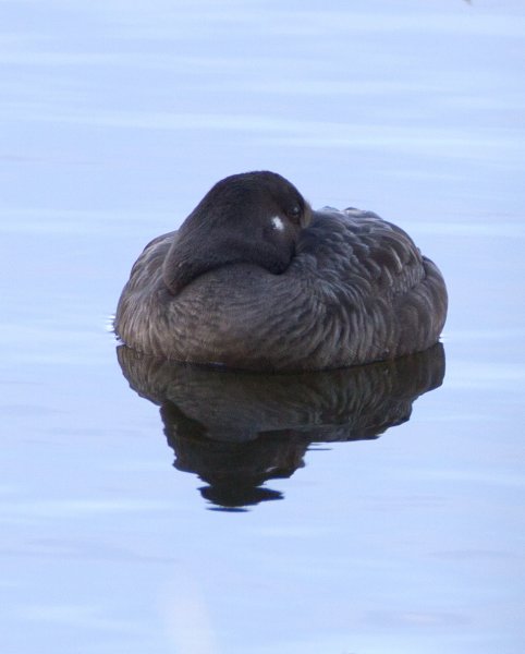 Gåta 2, art, 2p.jpg