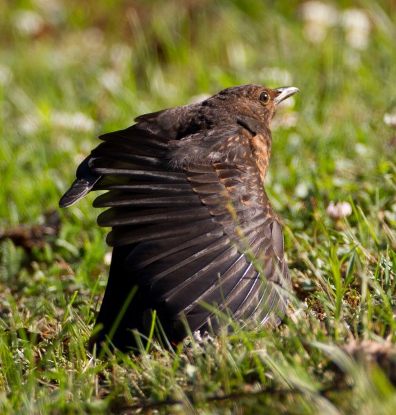 Gåta 3, a, art, 1p.jpg