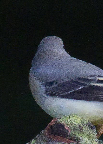 Gåta 5, art, 3p.jpg