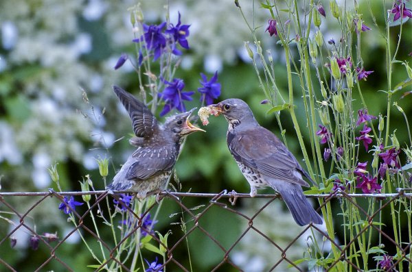 DSC_8055.jpg DSC_8055.jpg