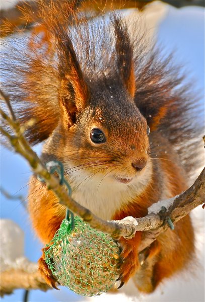 DSC_6488_2.JPG