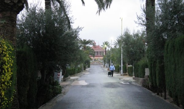 Gråväder 2.jpg Gråväder 2.jpg