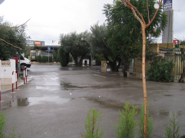 Gråväder i Santa Pola.jpg Gråväder i Santa Pola.jpg