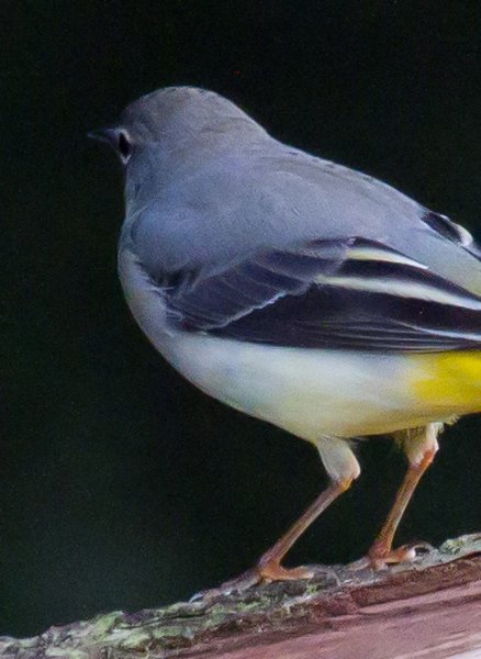 Gåta 5, art, 2p.jpg