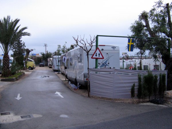 Bonzo sover.jpg Bonzo sover.jpg