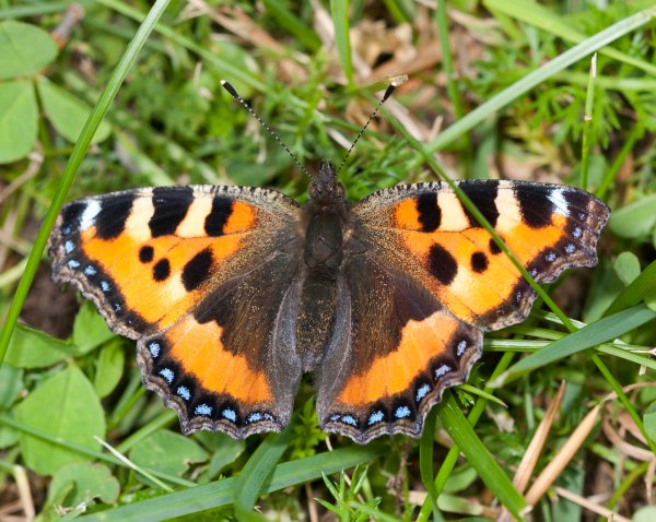 Gåta 18, art, 1p.jpg Gåta 18, art, 1p.jpg