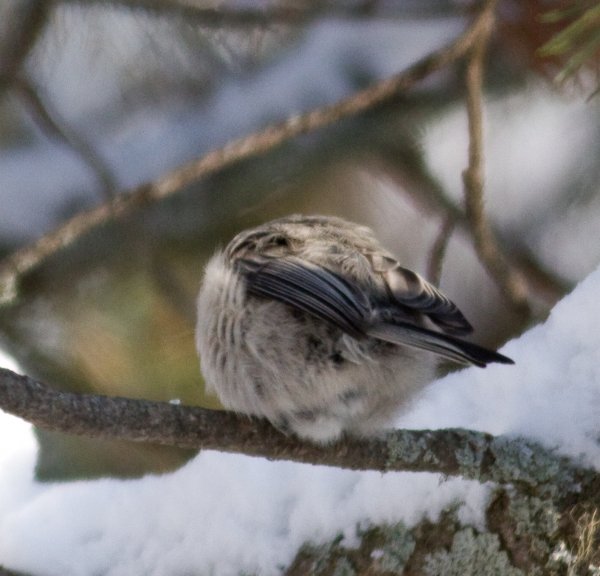 Gåta 1, art, 3p.jpg