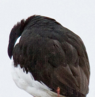 Gåta 2, art, 3p.jpg