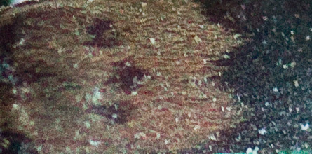 Gåta 3, välkänt husdjur. Arttypisk teckning. Art.  3p.jpg