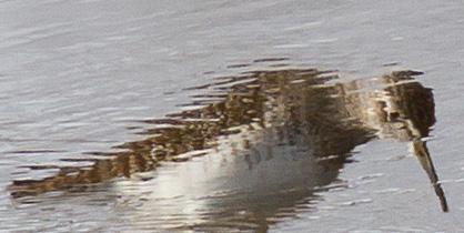 Gåta 10, art, 3p.jpg Gåta 10, art, 3p.jpg