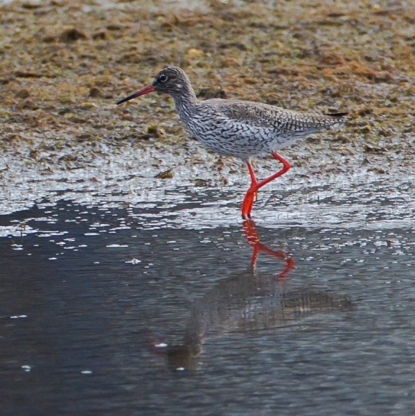 Gåta 11, art, 1p.jpg Gåta 11, art, 1p.jpg