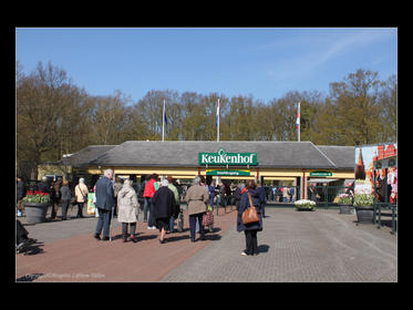 Bilder från Keukenhof 2010-2.jpg