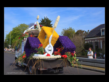 Bilder från Keukenhof 2010-5.jpg