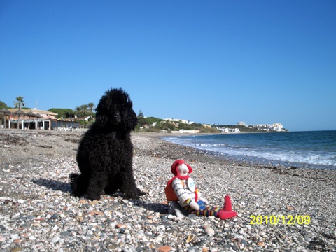 100_5517.jpg 100_5517.jpg