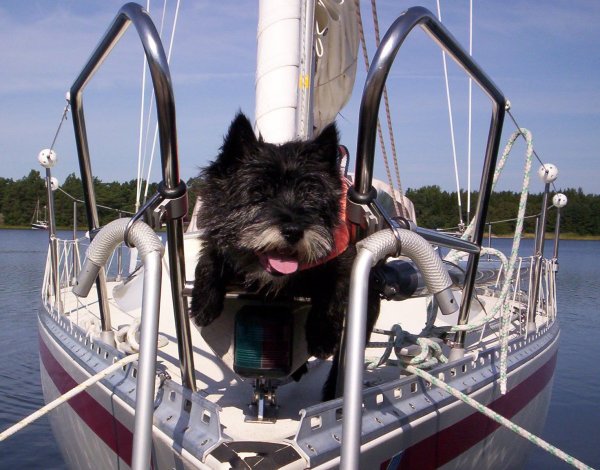 Viking på båten.jpg