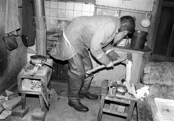 Björk-Sven.jpg Björk-Sven.jpg