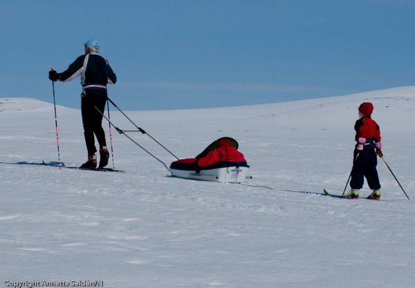 2009 04 14-010.jpg 2009 04 14-010.jpg