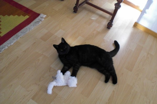 November 002 (800x533).jpg