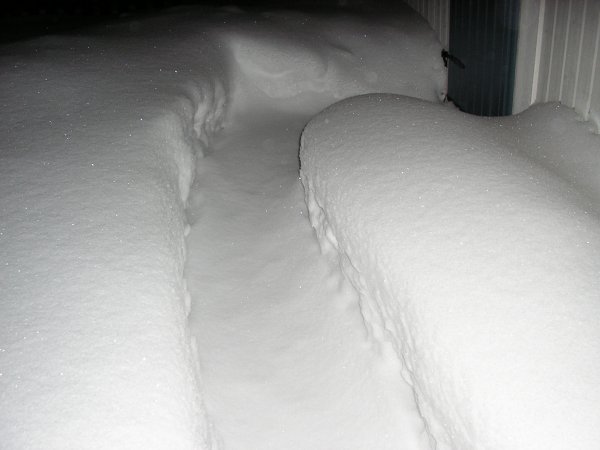 PC270024.JPG PC270024.JPG