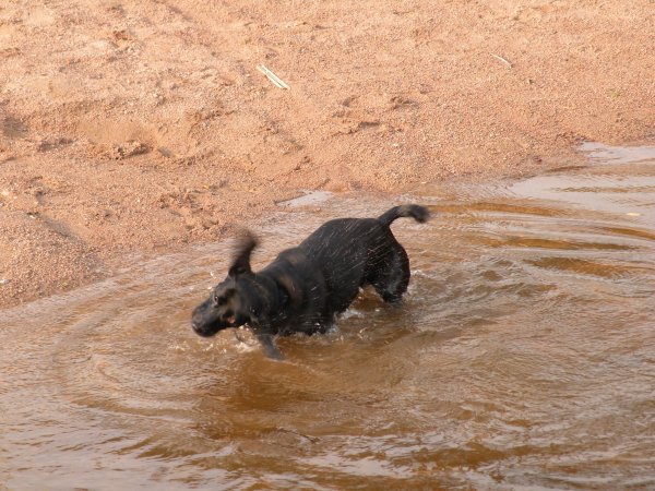 sommar-vinter 2010 059.JPG