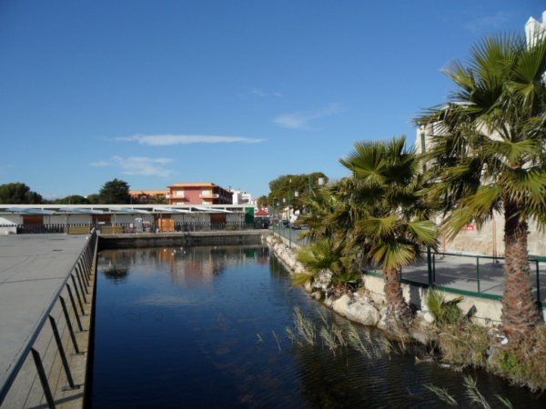 2 jan 2011 söndags promenad 067.JPG