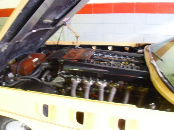 CIMG0944.JPG