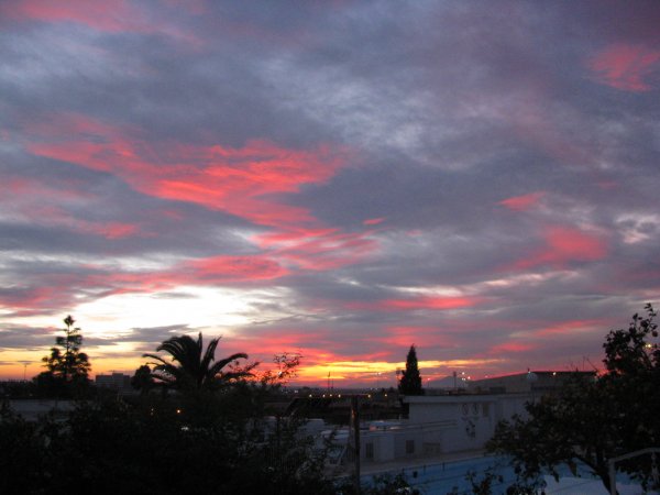 4 januari 2011 007.JPG