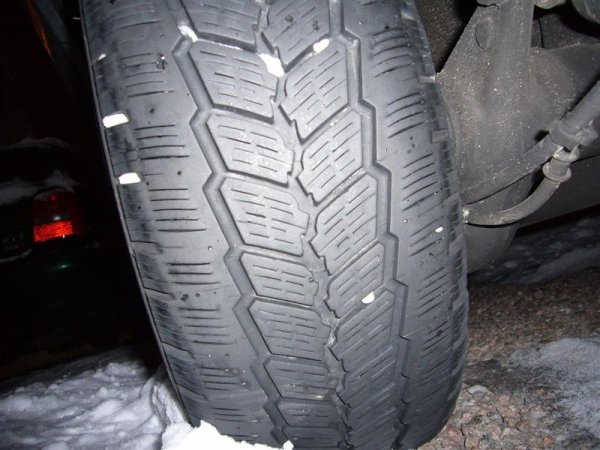 P1090568 (Medium).JPG