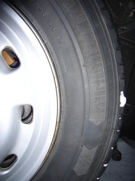 P1090570 (Medium).JPG