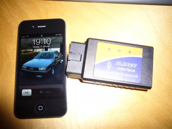 P1090586 (Medium).JPG