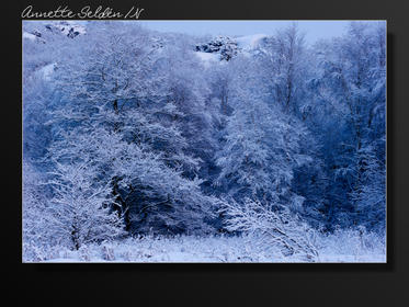 Hördalen vinter-04.jpg