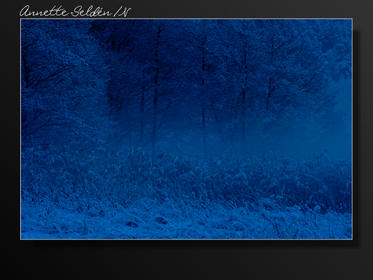 Hördalen vinter-07.jpg