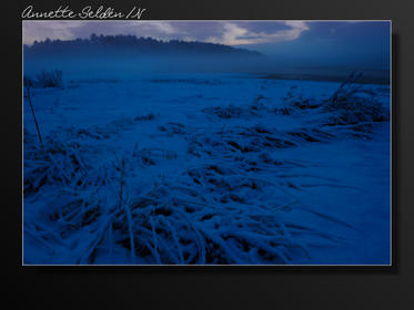 Hördalen vinter-08.jpg