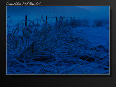 Hördalen vinter-09.jpg