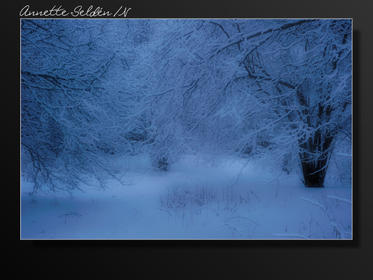 Hördalen vinter-02.jpg