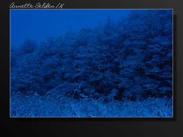 Hördalen vinter-10.jpg