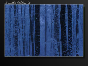 Vinter Oxhagen Gäddevik-01.jpg