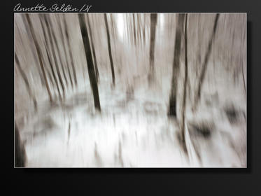 Vinter Oxhagen Gäddevik-03.jpg