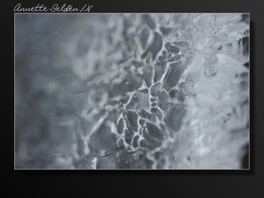 Vinter Oxhagen Gäddevik-04.jpg