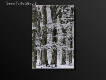 Vinter Oxhagen Gäddevik-06.jpg